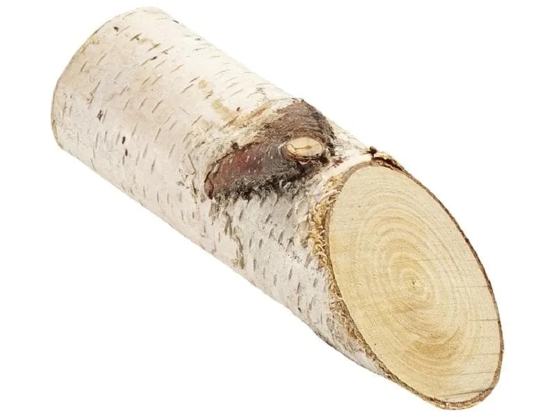 HobbyFun Naturmaterialien Birkenstämmchen 15 cm HobbyFun Naturmaterialien Birkenstämmchen 15 cm