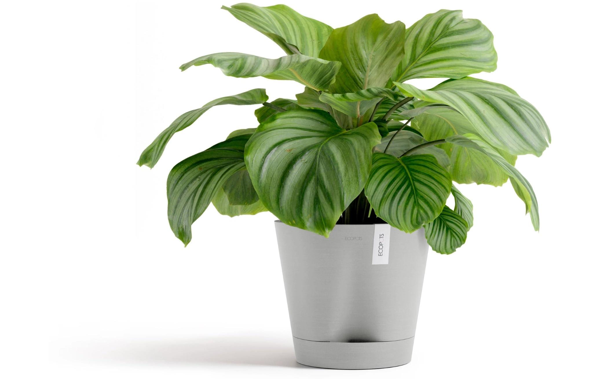 Ecopots Blumentopf Venice 2 Ø 30 cm Hellgrau