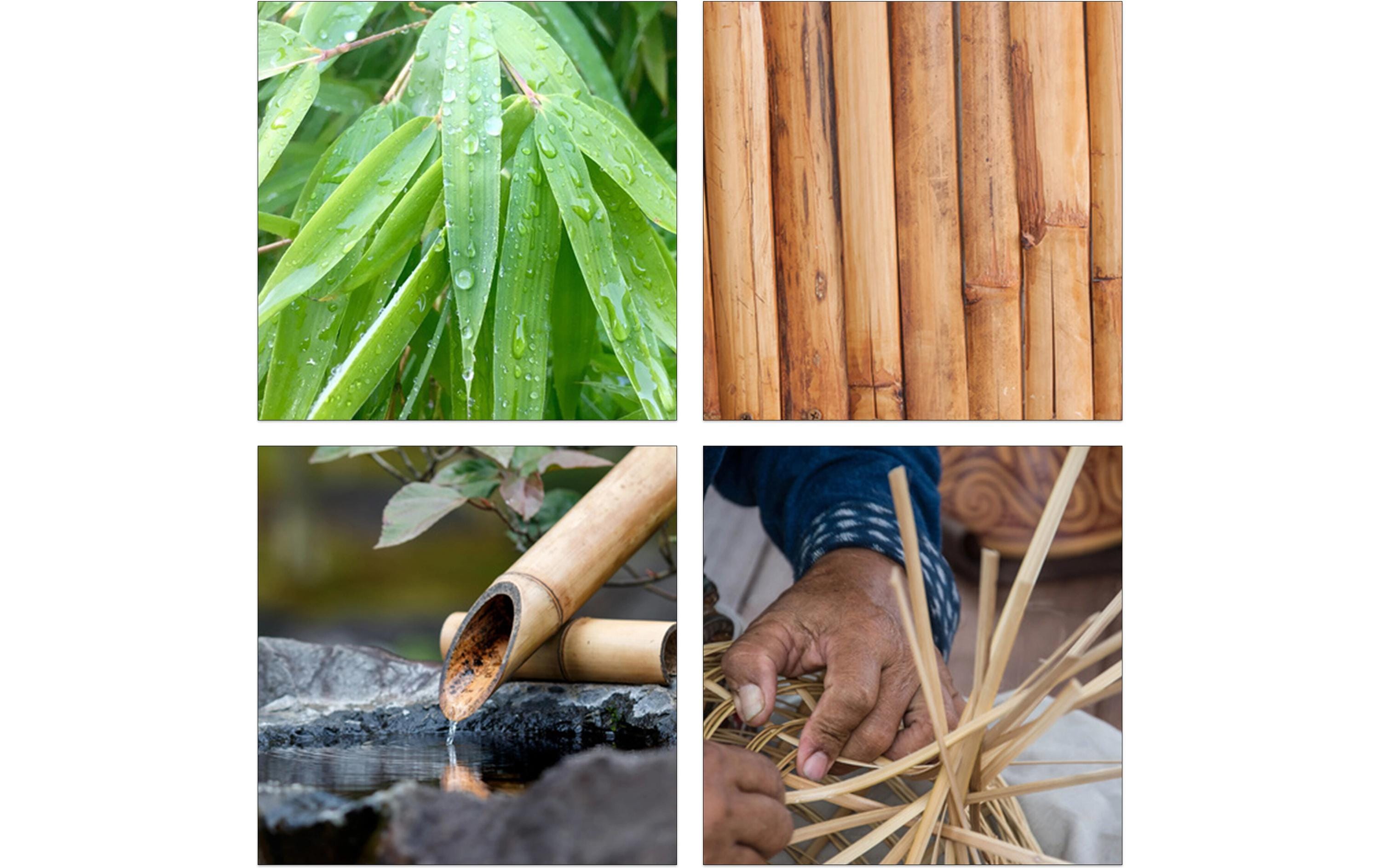 relaxdays Kaffee-Organizer mit 6 Fächern