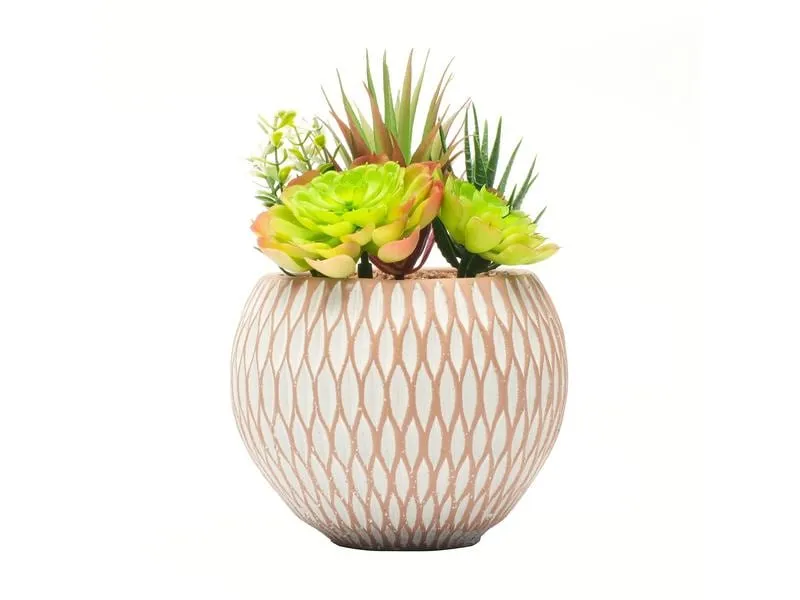 Dameco Kunstpflanze Sukkulenten 22 cm, mit Topf Dameco Kunstpflanze Sukkulenten 22 cm, mit Topf