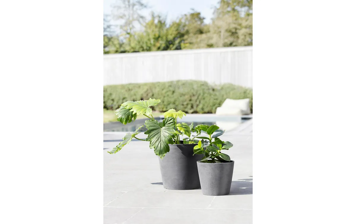 Ecopots Pflanzentopf Amsterdam 50 Grau Ecopots Pflanzentopf Amsterdam 50 Grau
