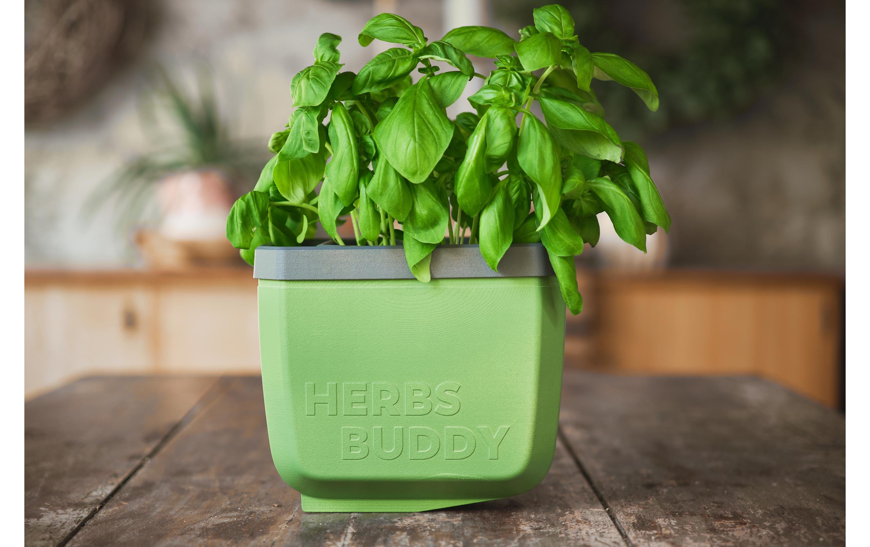 Gusta Garden HERBS BUDDY Kräutertopf 3er Set Grün