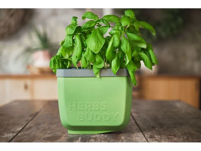 Gusta Garden HERBS BUDDY Kräutertopf 3er Set Grün