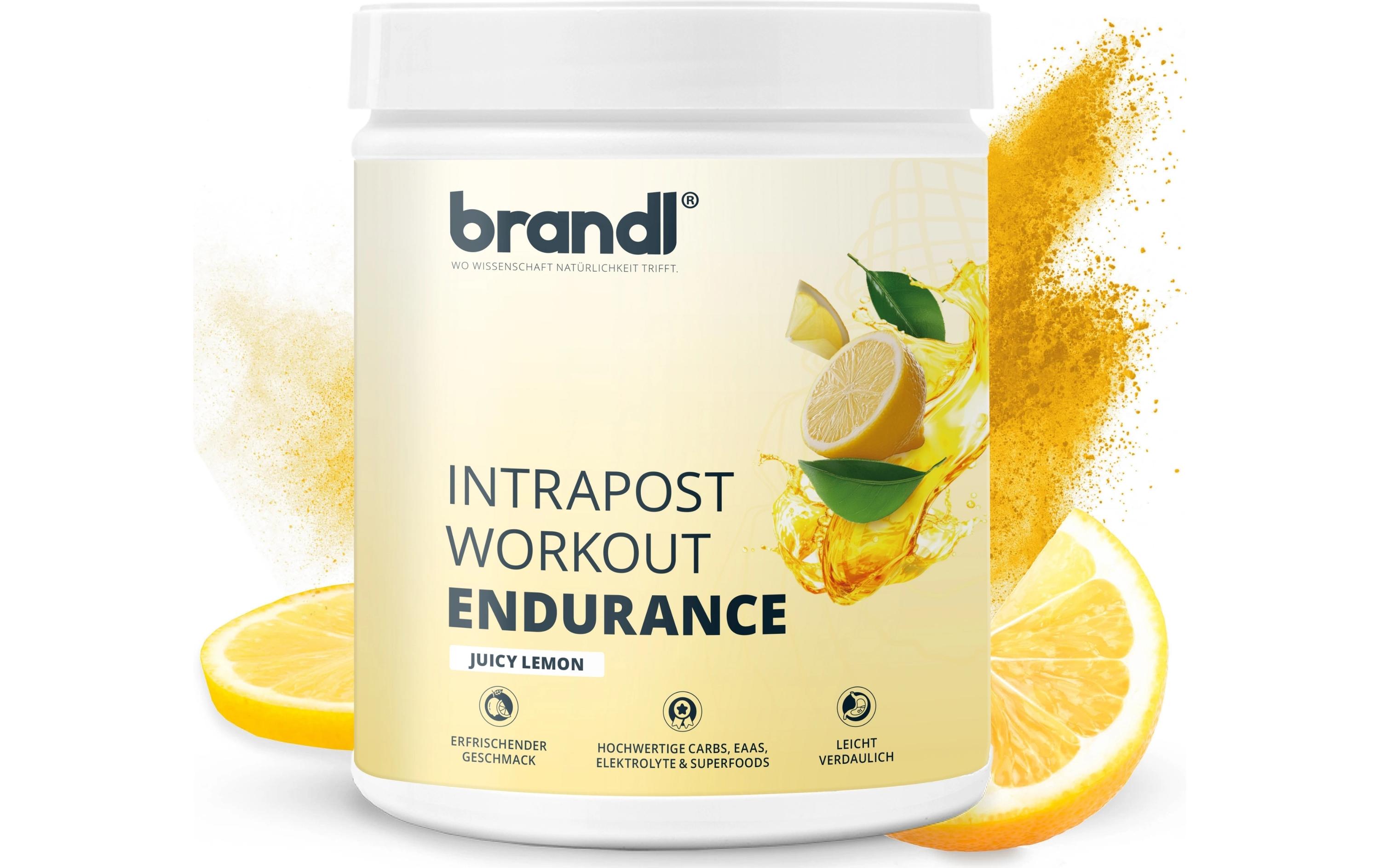 Brandl-Nutrition Ausdauer-Drink Isotonisches Getränk Zitrone, 600 g