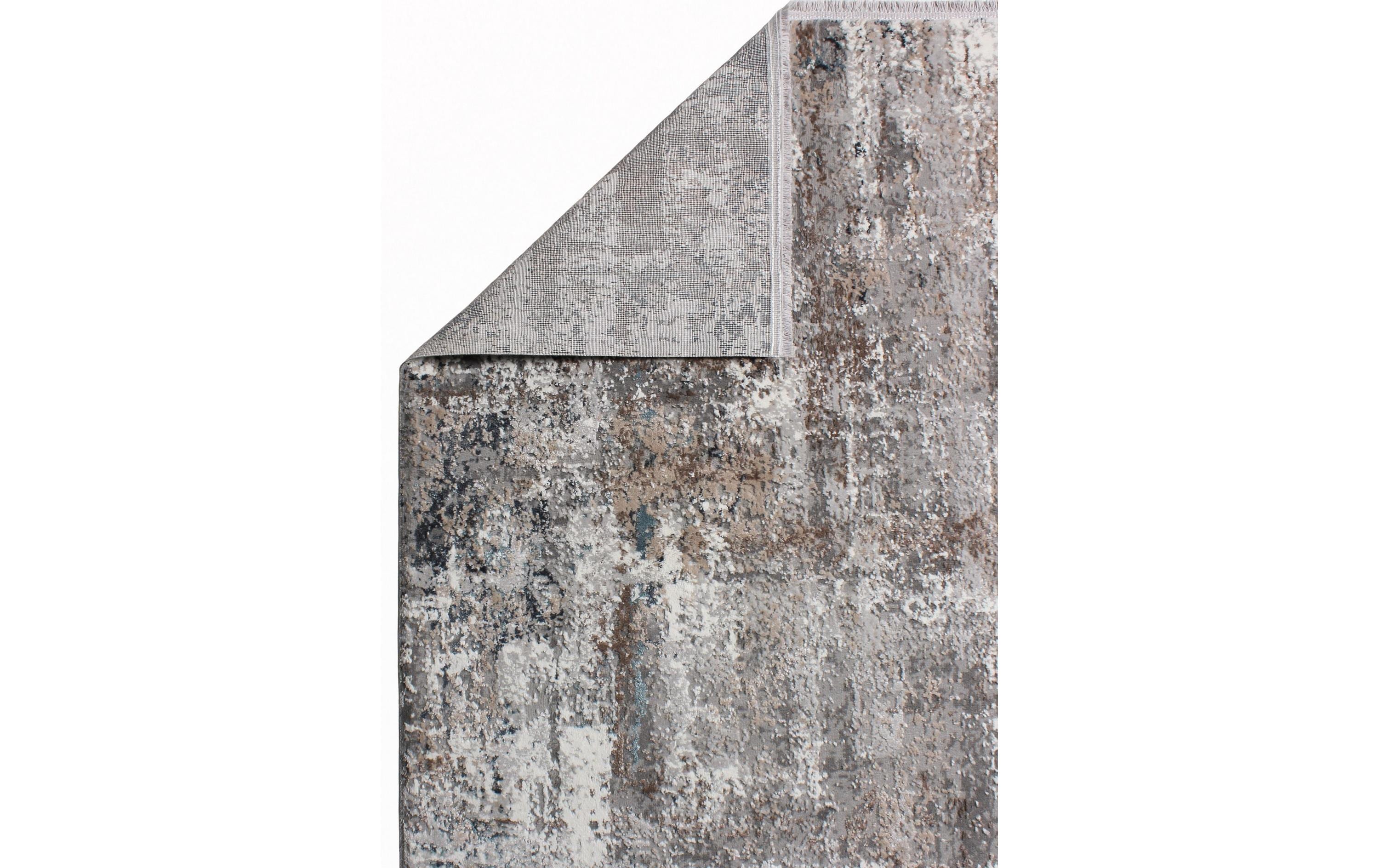 Conceptum Hypnose Teppich Leo 0076 160 cm x 230 cm, Grau