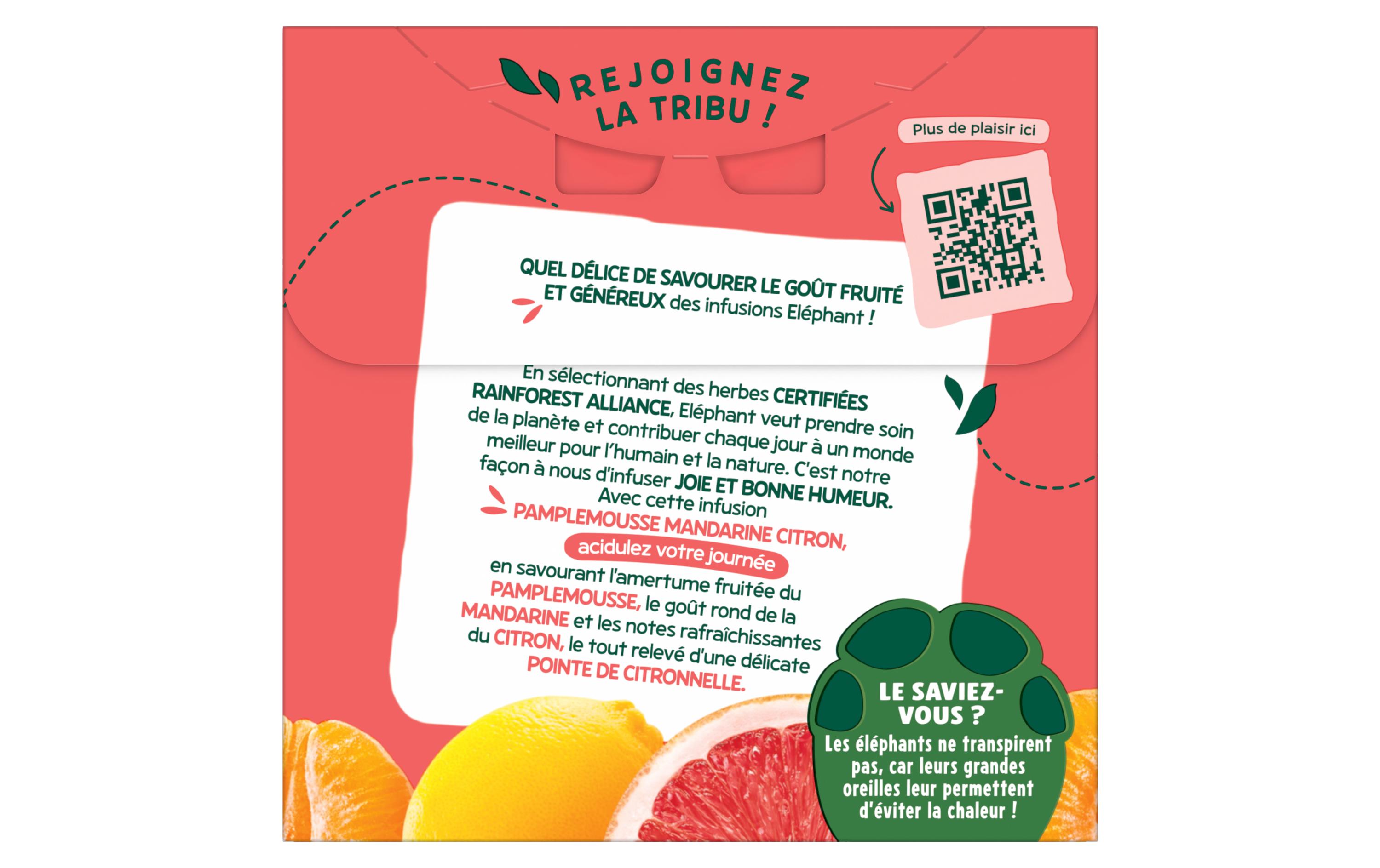 Eléphant Teebeutel Infusion Pamplemousse Mandarine Citron 20 Stück