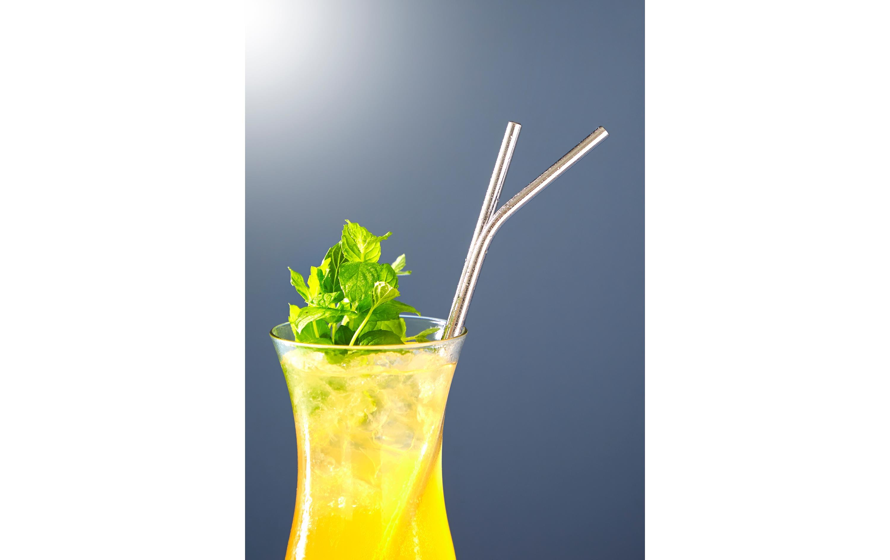 Schou Strohhalm 6 Stück