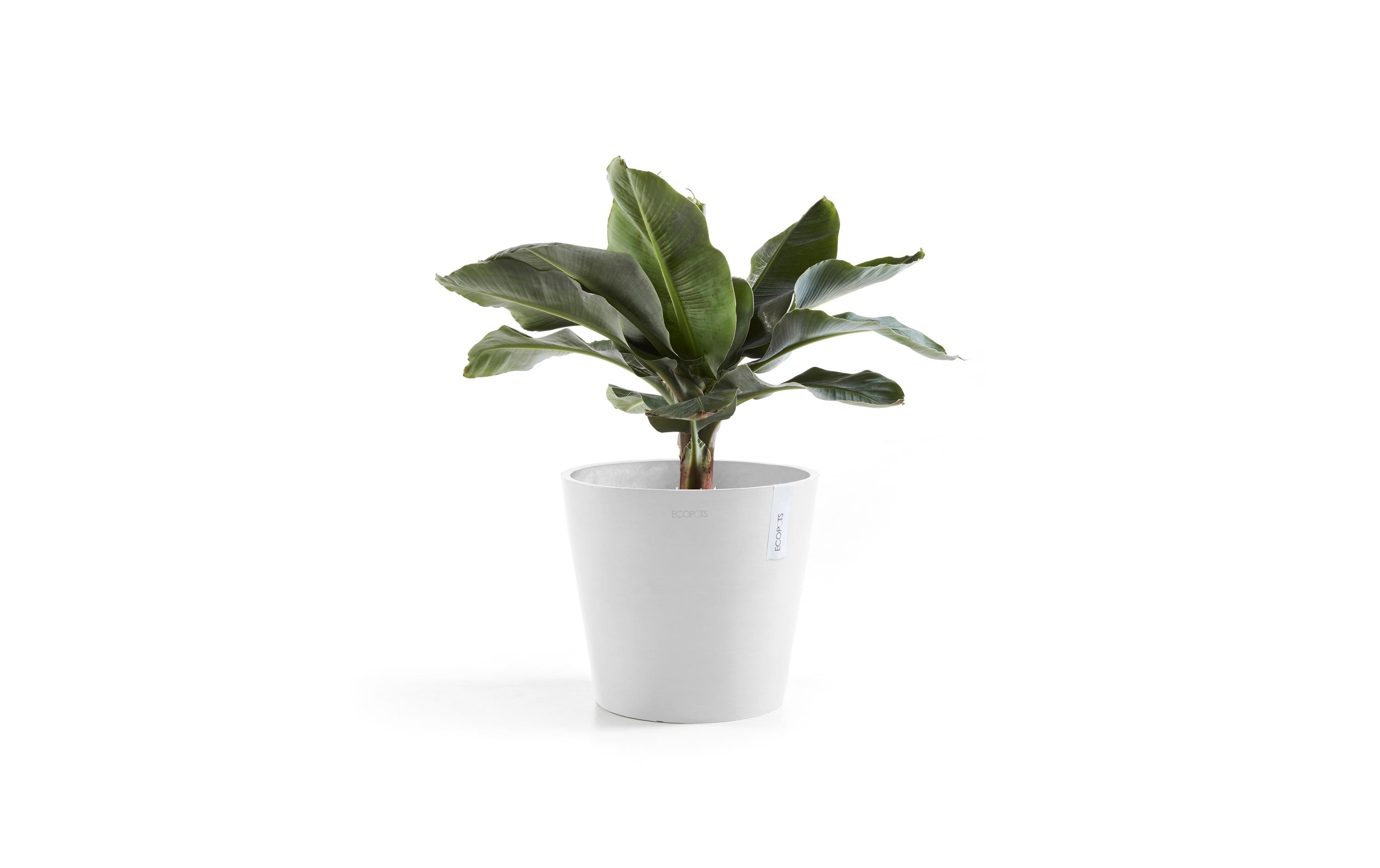 Ecopots Pflanzentopf Amsterdam 40, Weiss Ecopots Pflanzentopf Amsterdam 40, Weiss