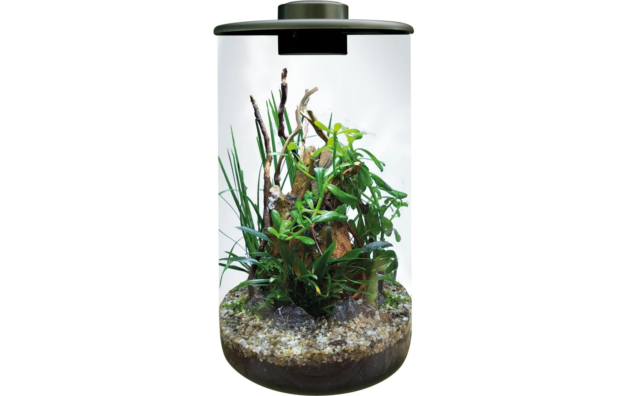Bio Art Pflanzengefäss Cylinder 285 Schwarz