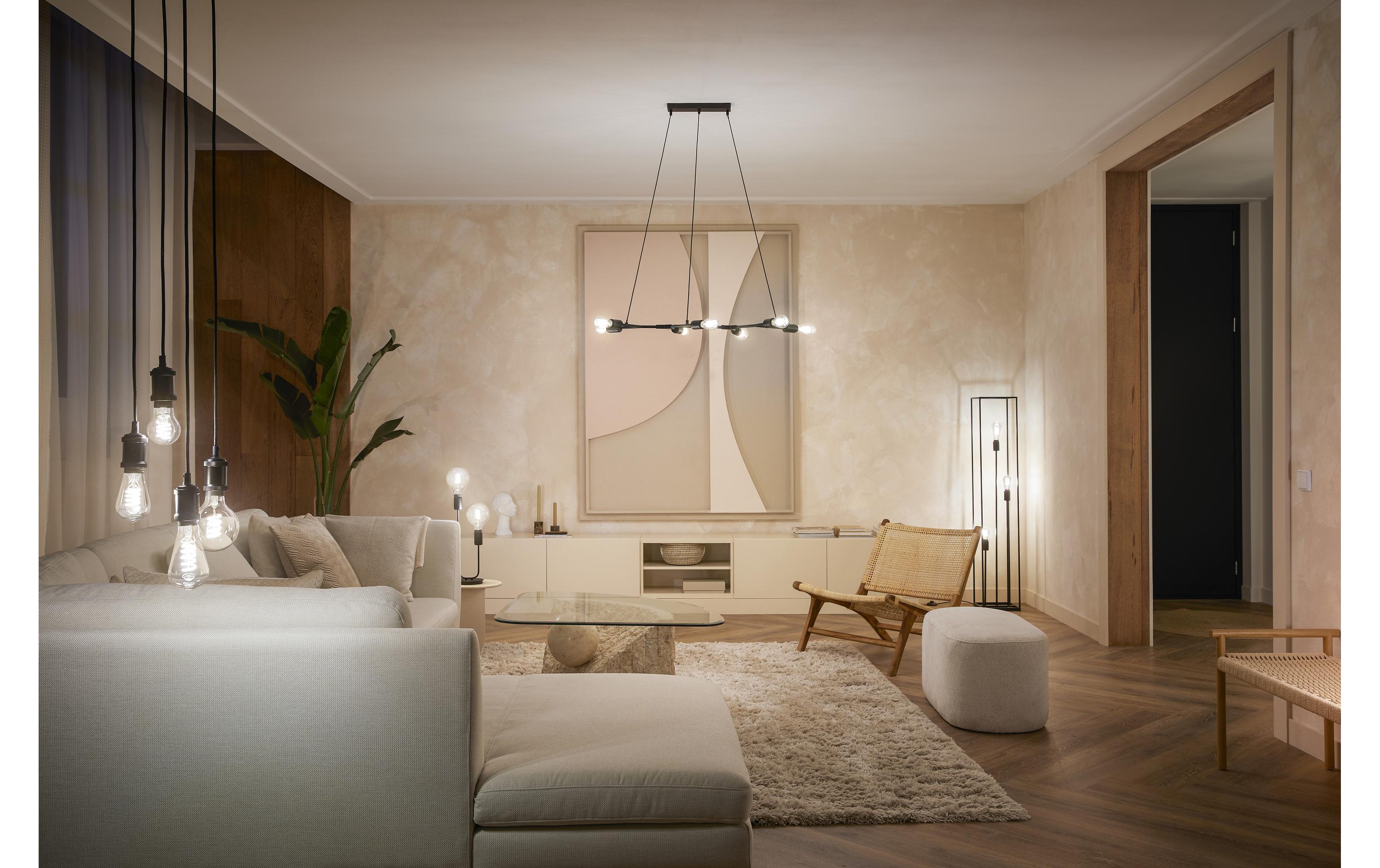 Philips Hue White Ambiance E27 Einzelpack Giant Edison Filament 550 lm