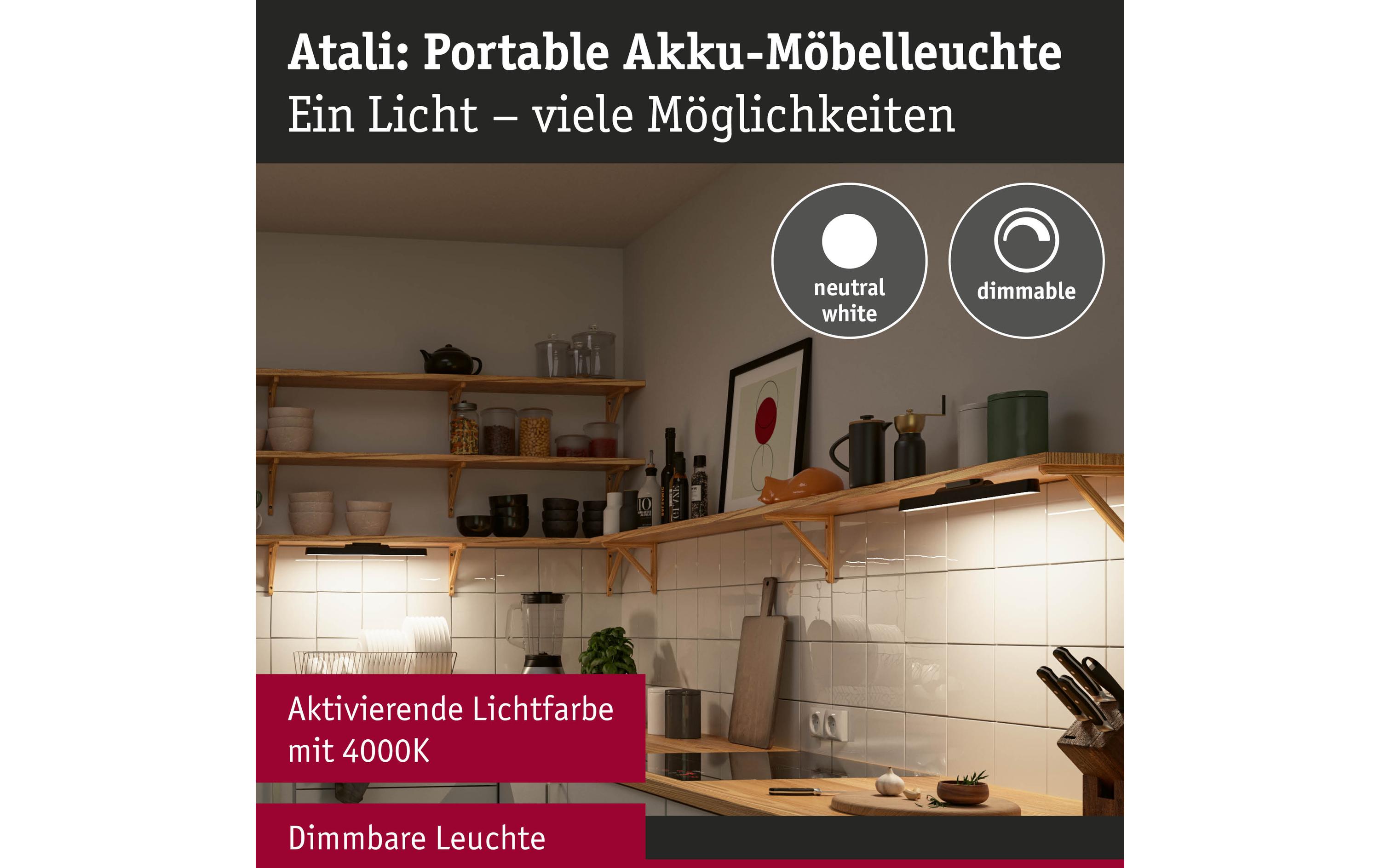 Paulmann Mobile Möbelaufbauleuchte Atali Schwarz Paulmann Mobile Möbelaufbauleuchte Atali Schwarz