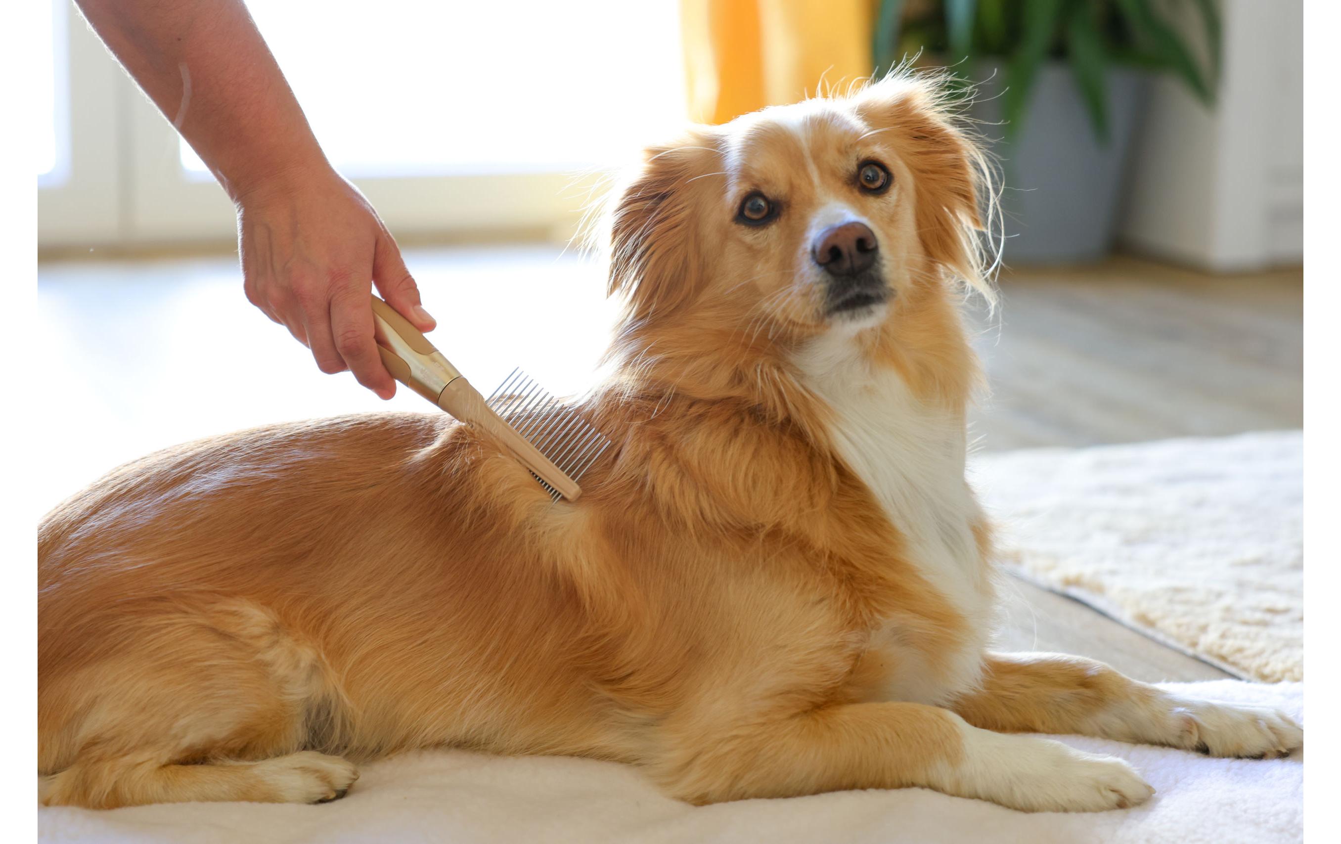 Kerbl MagicBrush Fellkamm 6.5 cm x 21 cm