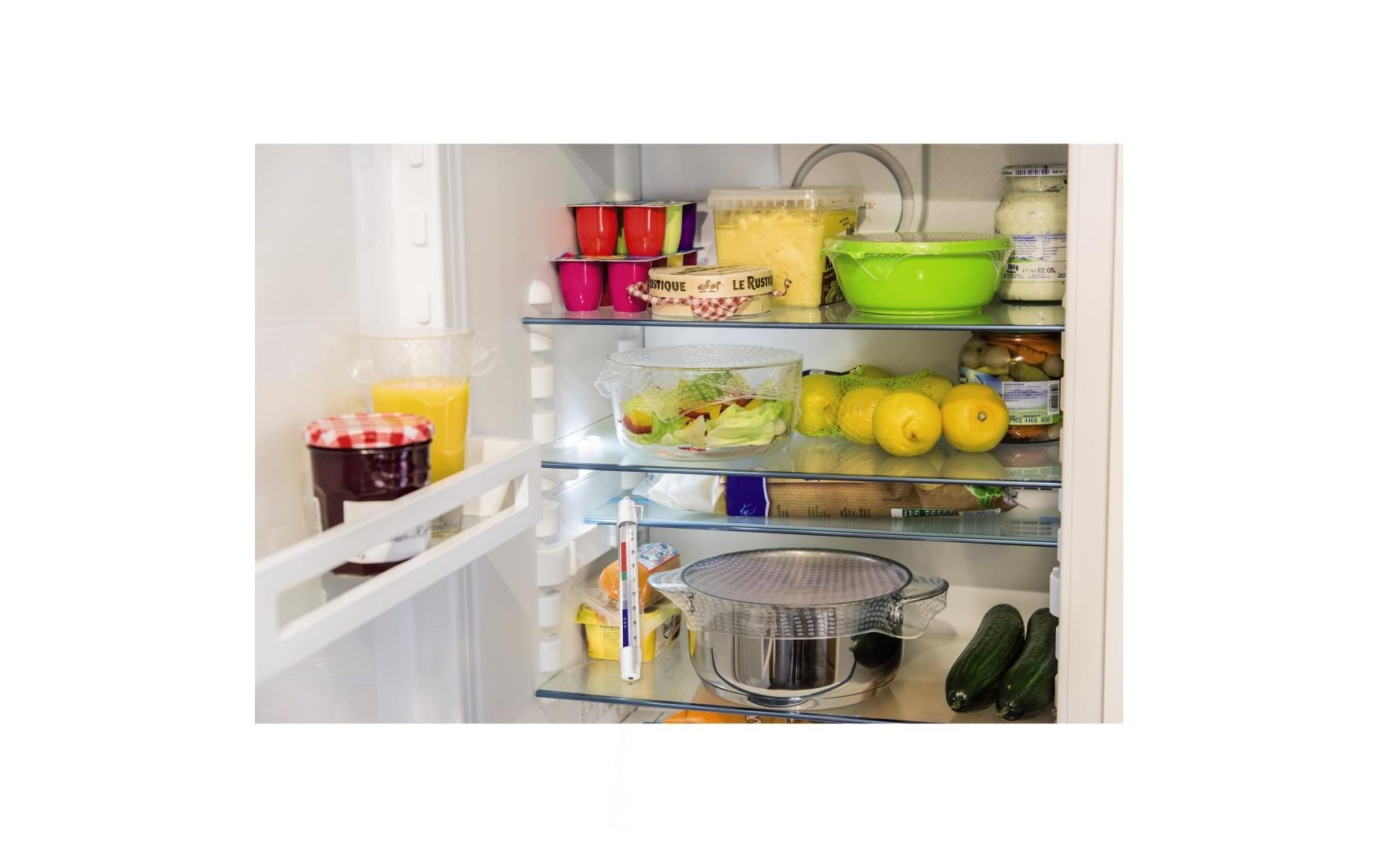 Xavax Kühl- / Gefrierthermometer Analog