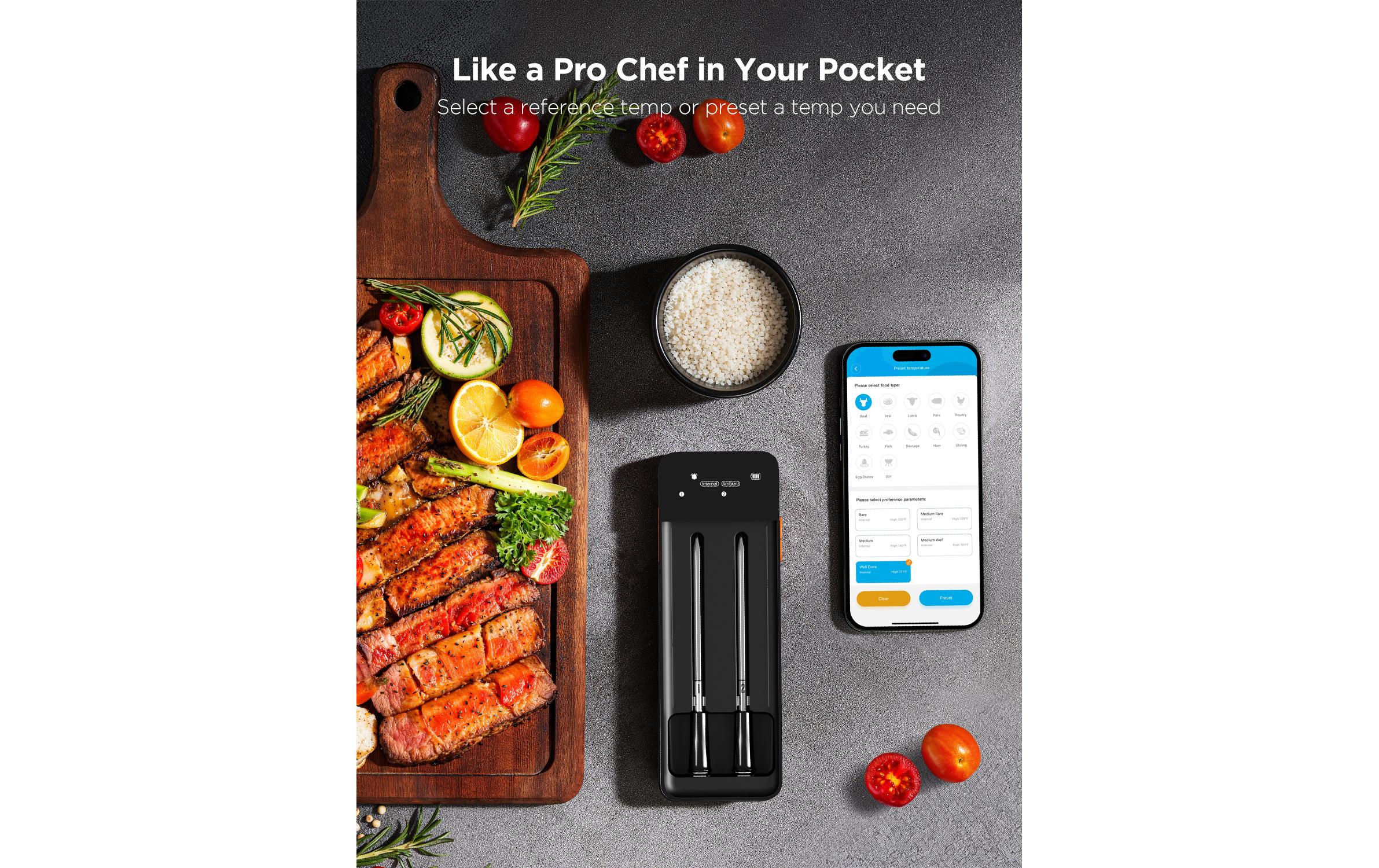 Govee Fleischthermometer