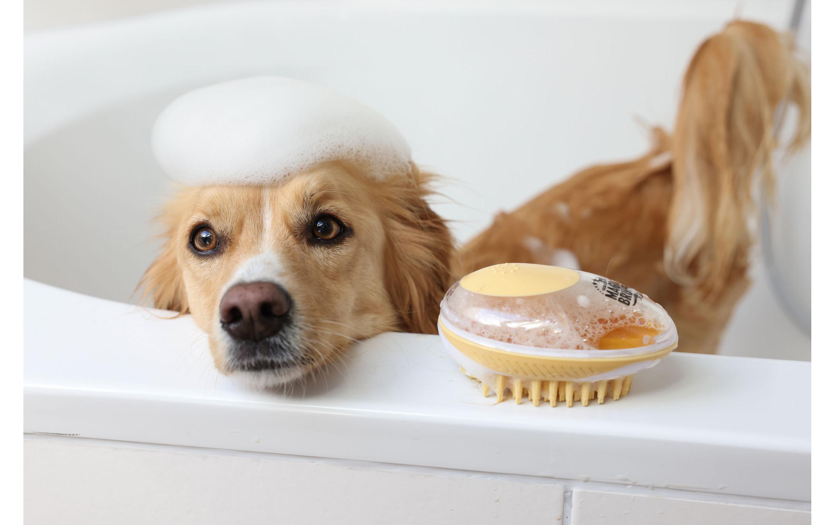 Kerbl MagicBrush Badebürste 11.5 cm x 7.5 cm x 6 cm