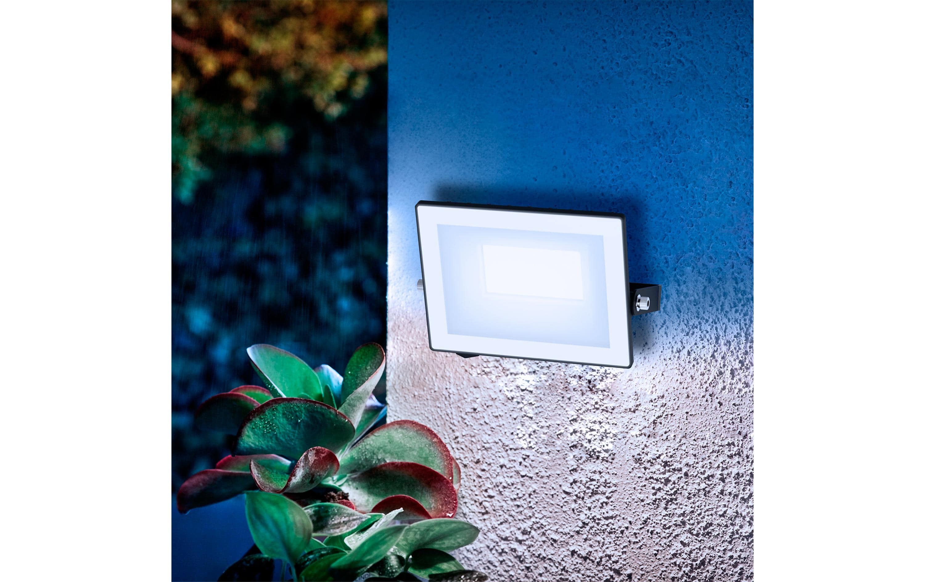 Philips Lois Flutlicht 20W 5000K IP65 schwarz 20 W