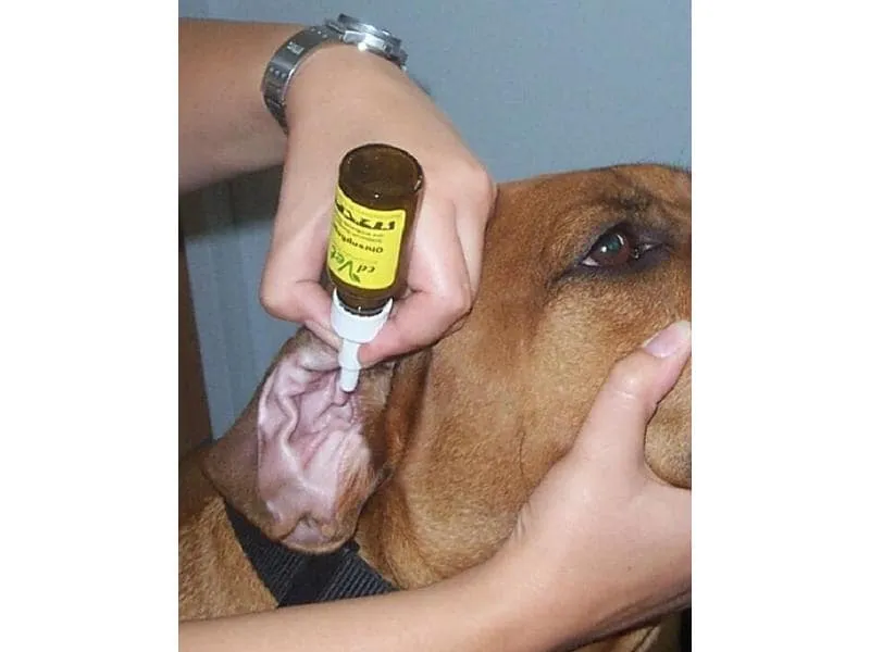 cdVet Ohrenreiniger Ohrenpflege, 20 ml cdVet Ohrenreiniger Ohrenpflege, 20 ml