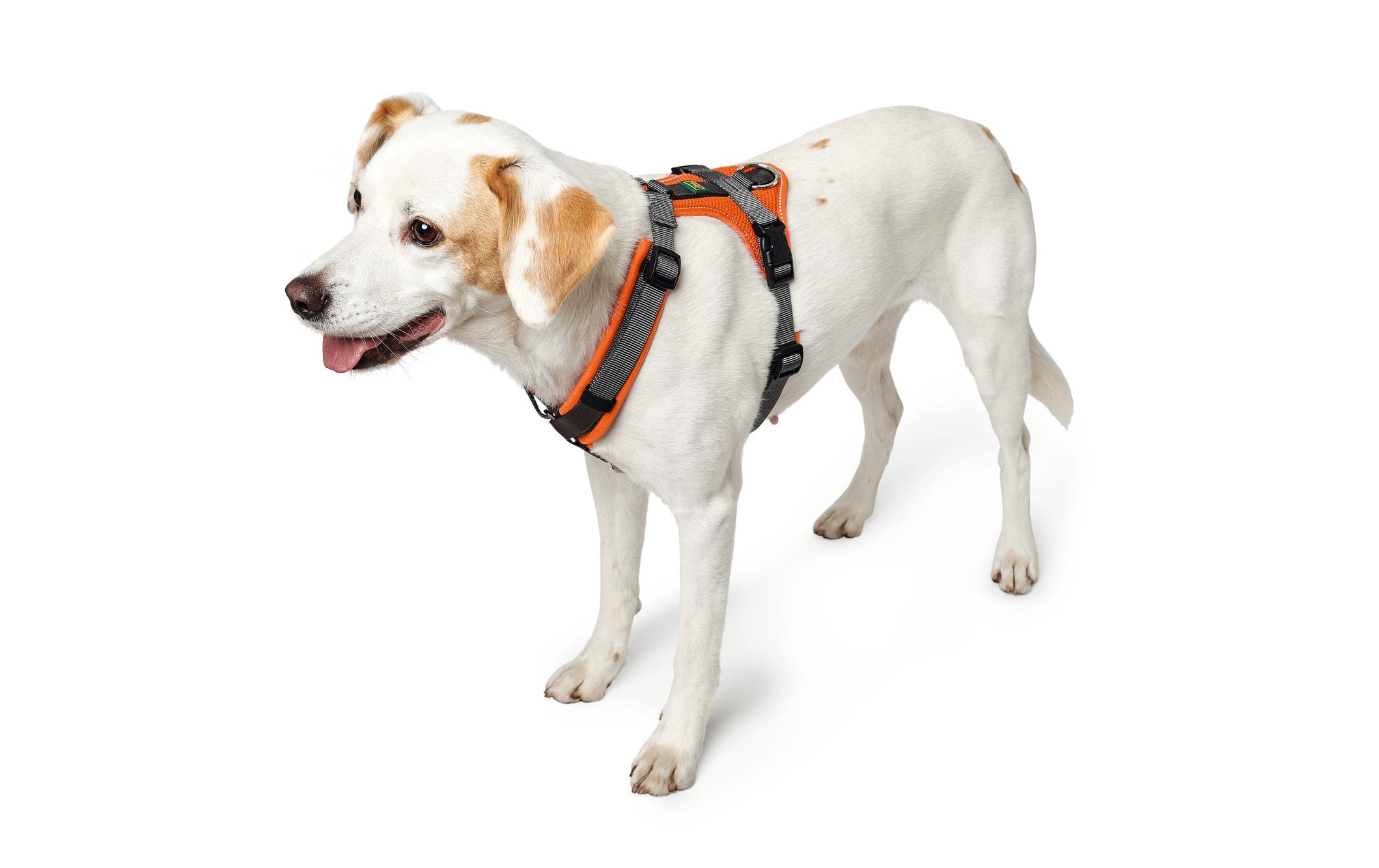 Hunter Geschirr Maldon, M, Orange/Grau