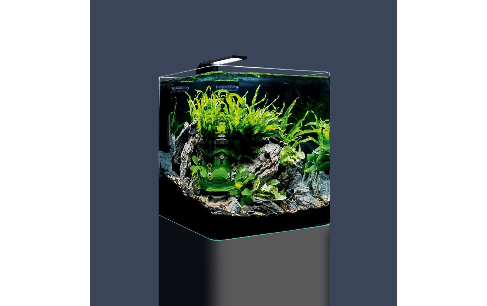 Dennerle Aquarium Nano Cube Basic, 30 l