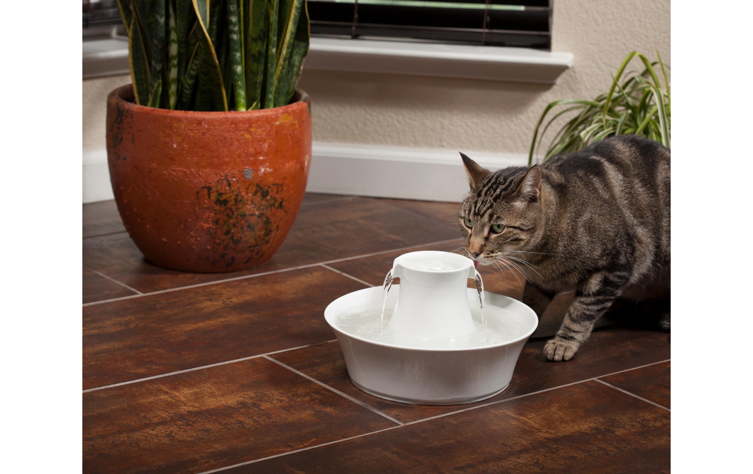 PetSafe Wasserautomat Drinkwell Keramik-Trinkbrunnen Avalon, 2 l