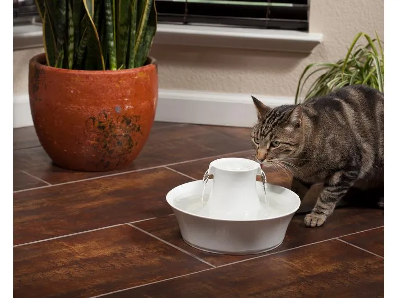 PetSafe Wasserautomat Drinkwell Keramik-Trinkbrunnen Avalon, 2 l