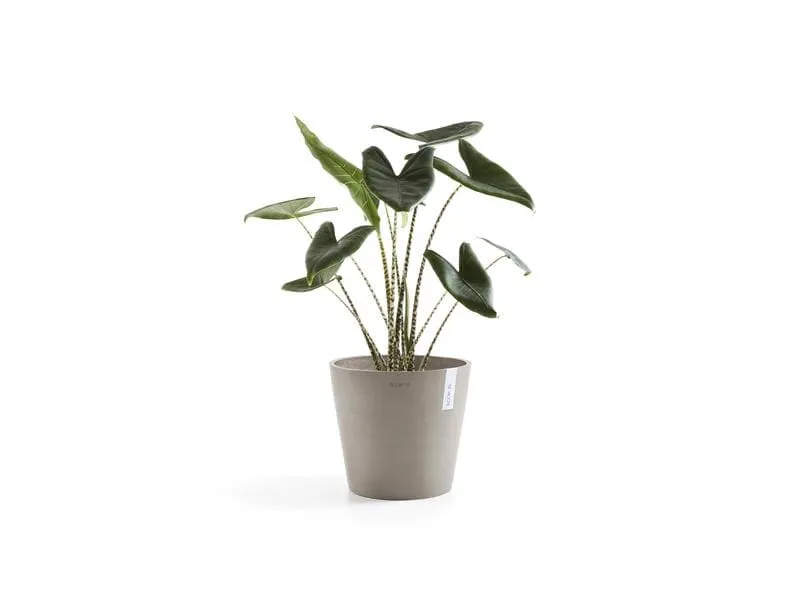 Ecopots Pflanzentopf Amsterdam 40, French Taupe Ecopots Pflanzentopf Amsterdam 40, French Taupe