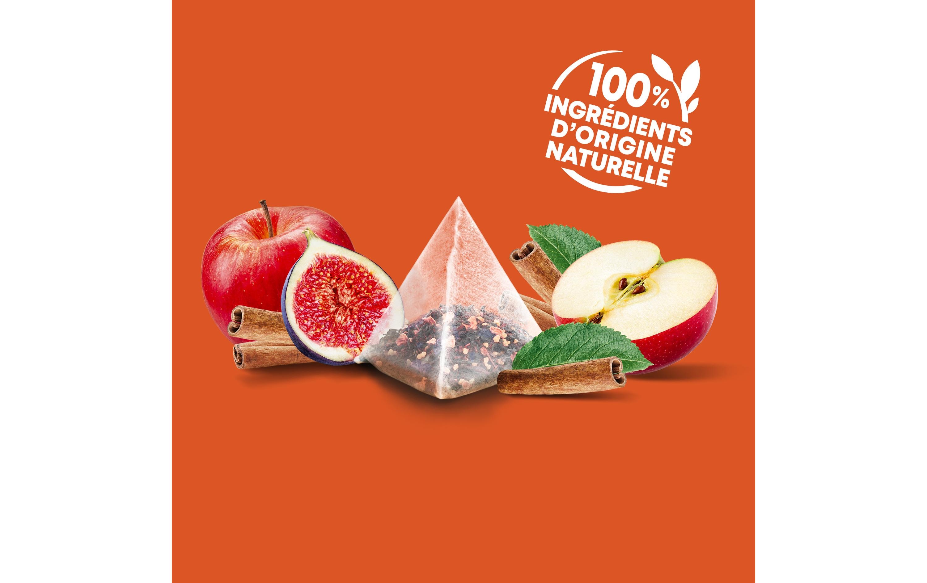 Eléphant Teebeutel Infusion Pomme Cannelle 20 Stück