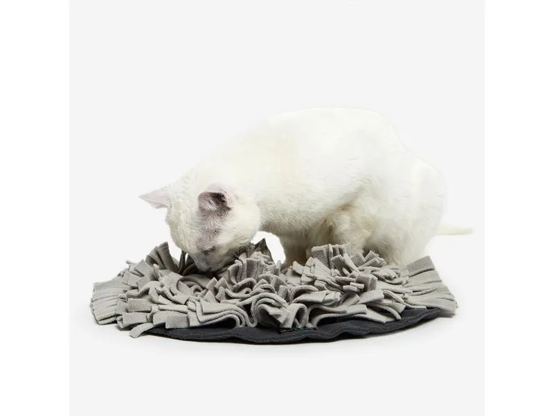 KNAUDER'S BEST Katzen-Spielzeug Schnüffelrasen, Braun KNAUDER'S BEST Katzen-Spielzeug Schnüffelrasen, Braun