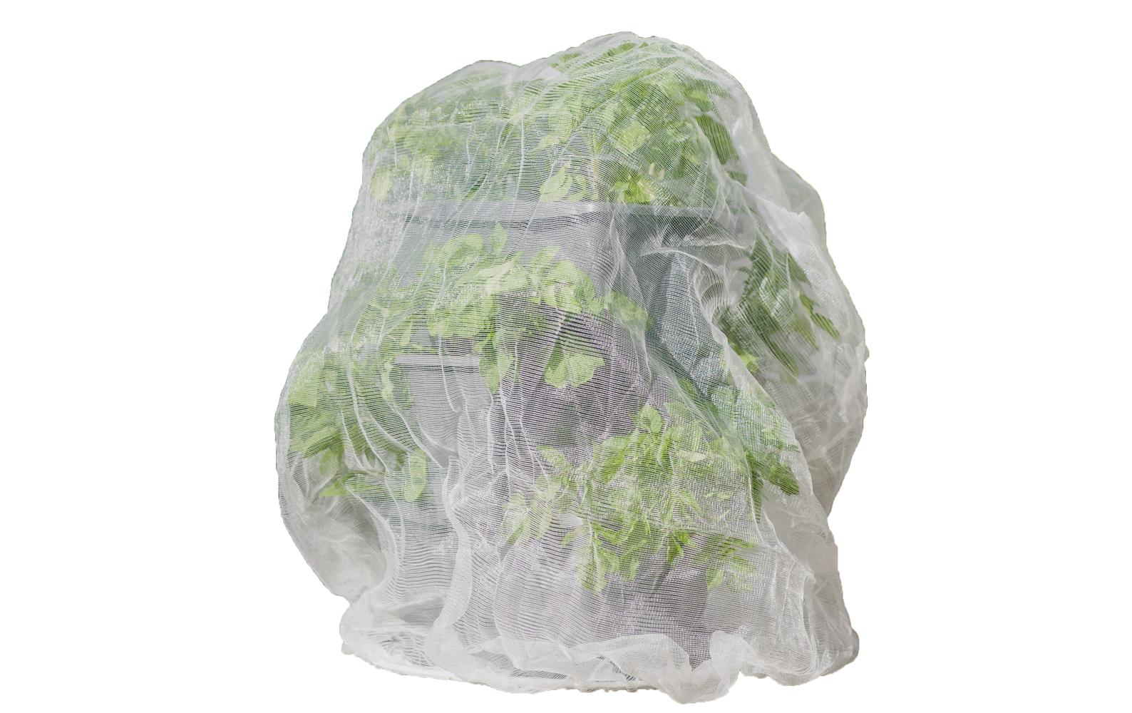 Gusta Garden Insektenschutznetz, 65 x 90 cm