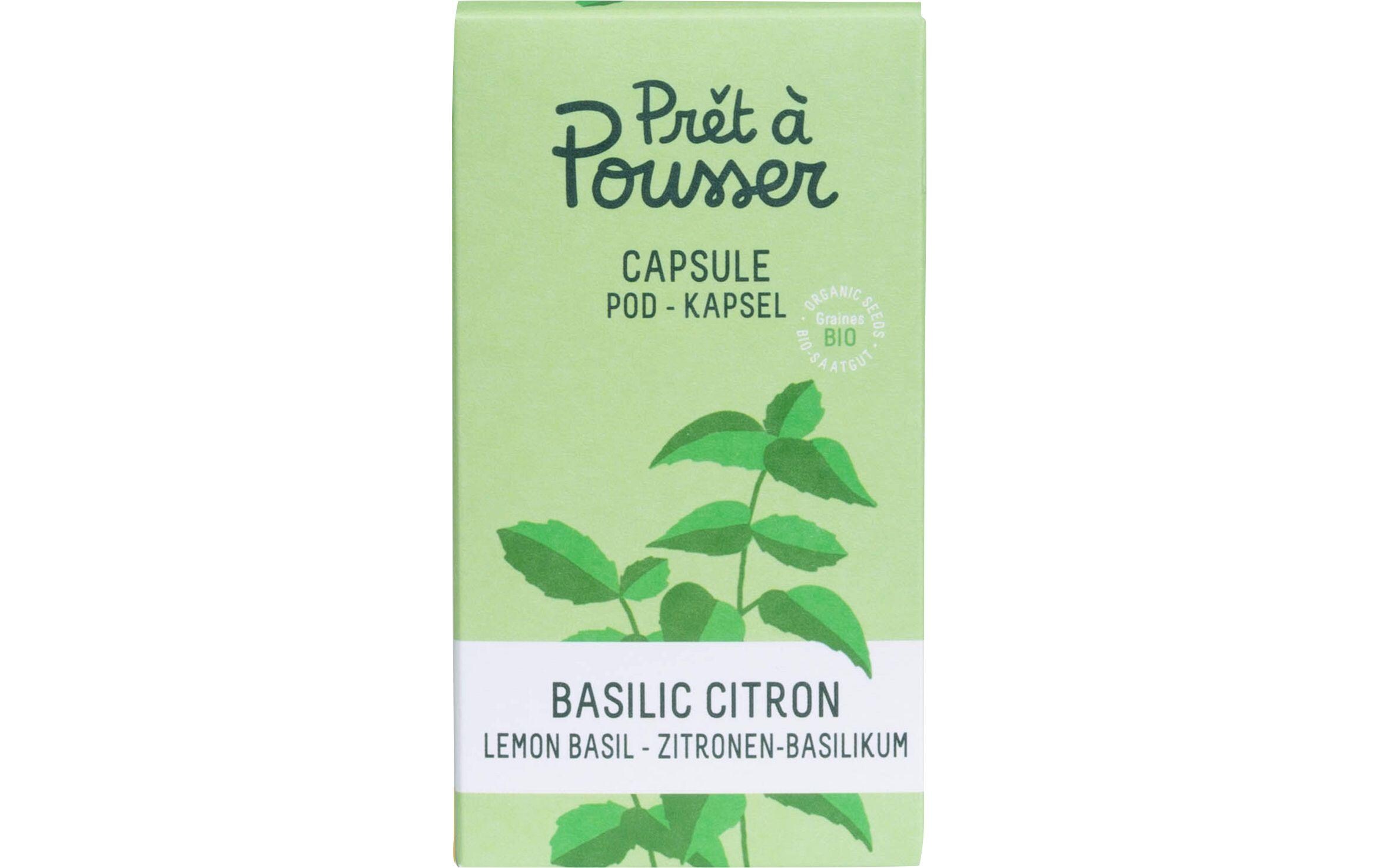 Prêt à Pousser Samen Bataviasalat Prêt à Pousser Samen Bataviasalat