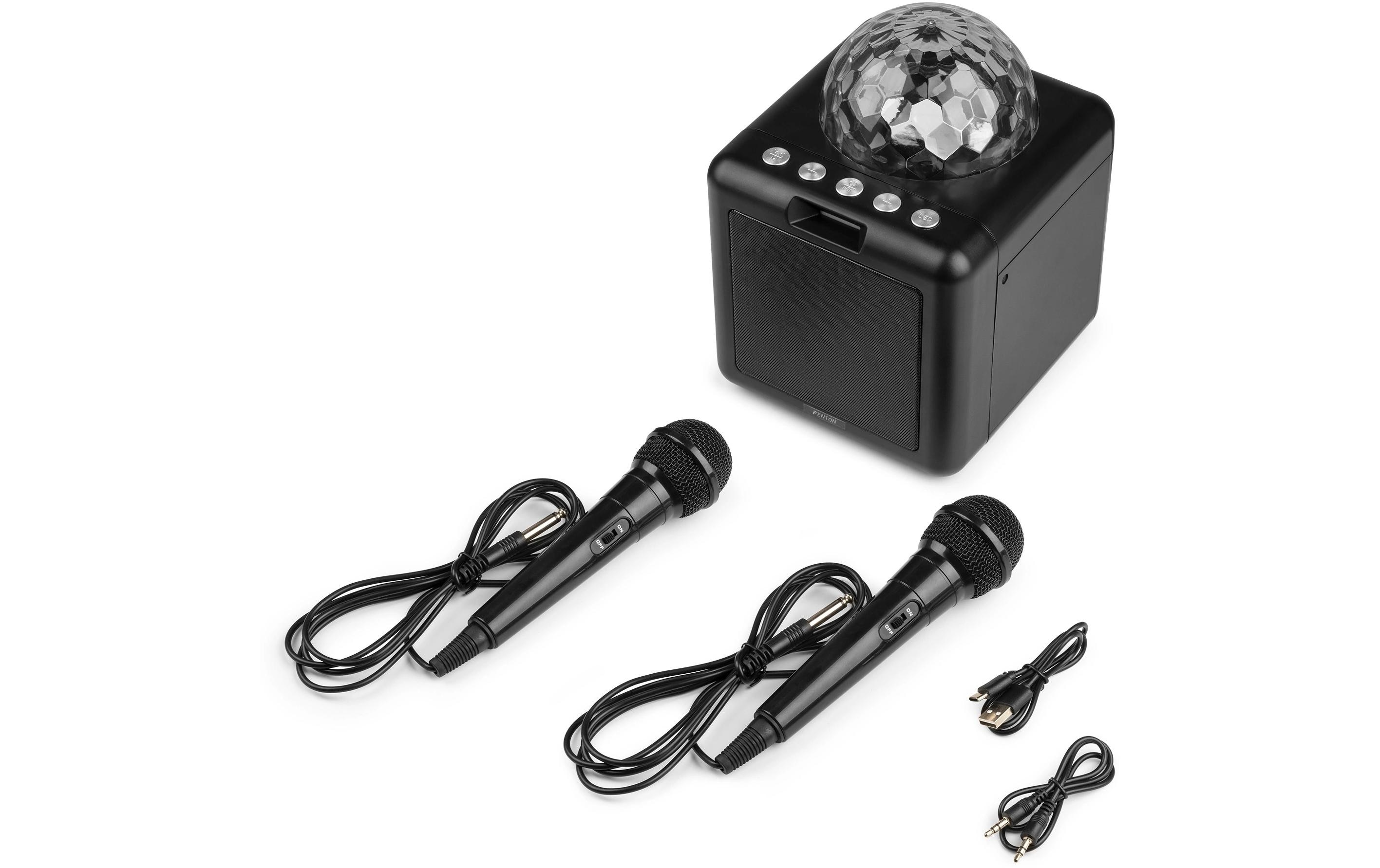 Fenton Lautsprecher KAR15B mit 2 Mikrofonen