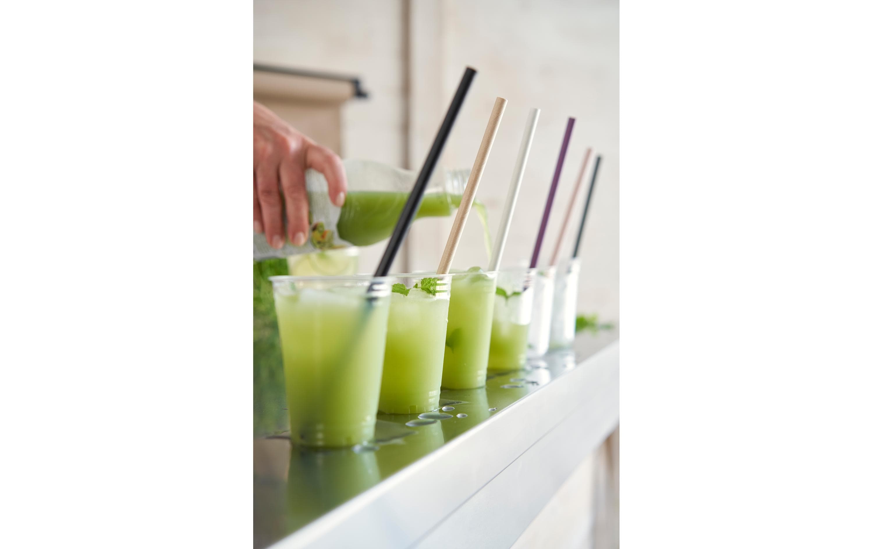 BioPak Einwegbecher Crystal 300 ml, 65 Stück, Transparent