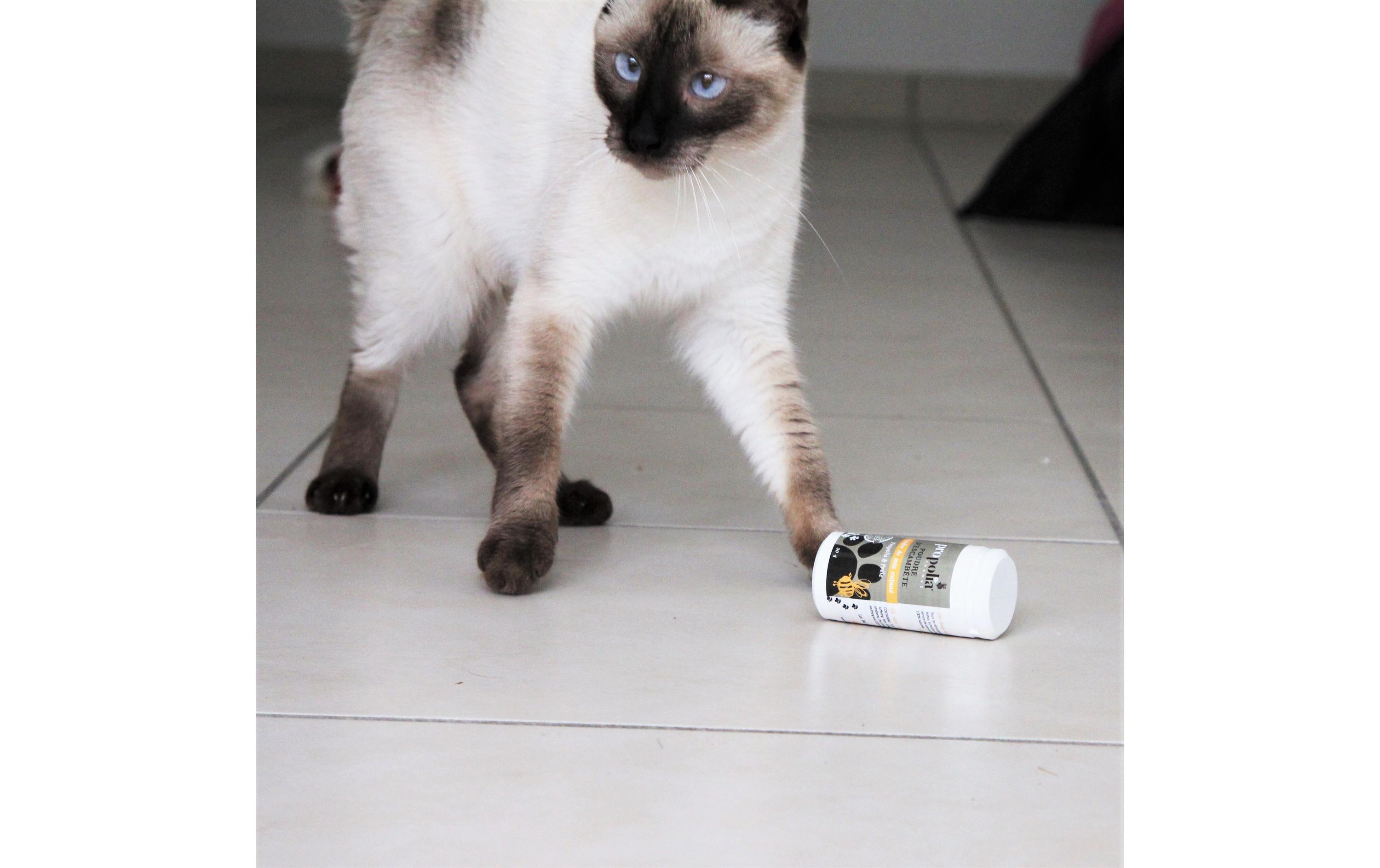 Propolia Hautpflegepuder für Tiere, 30 g