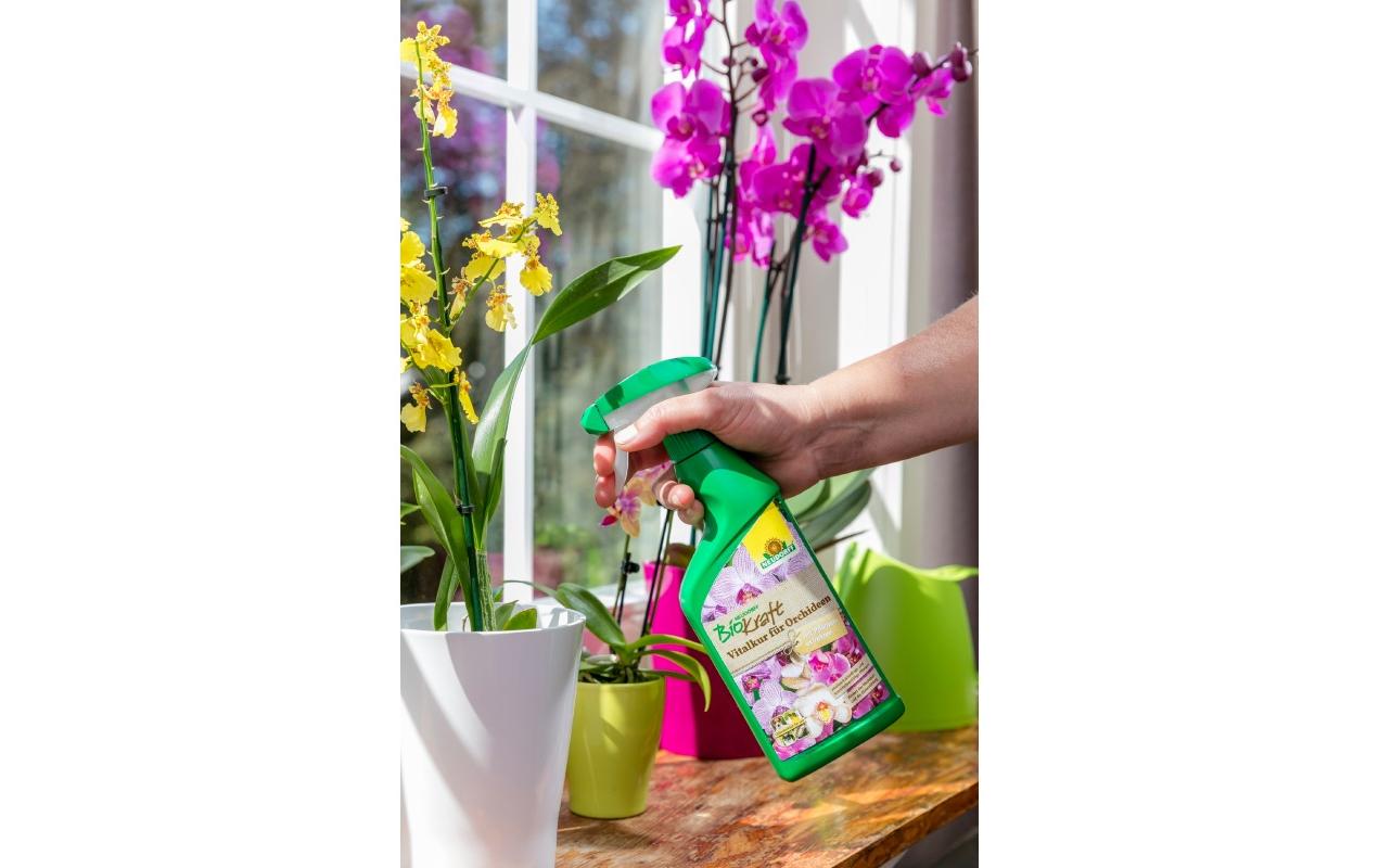 Neudorff BioKraft Vitalkur für Orchideen AF, 500 ml Neudorff BioKraft Vitalkur für Orchideen AF, 500 ml