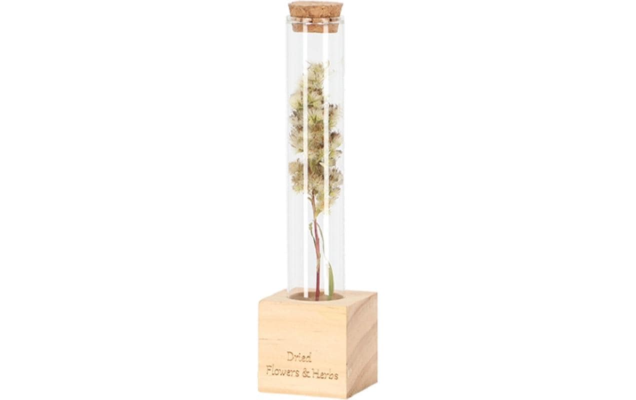 Esschert Design Vase Reagenzglas S 16.5 cm, Nature/Transparent