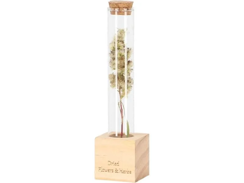 Esschert Design Vase Reagenzglas S 16.5 cm, Nature/Transparent Esschert Design Vase Reagenzglas S 16.5 cm, Nature/Transparent
