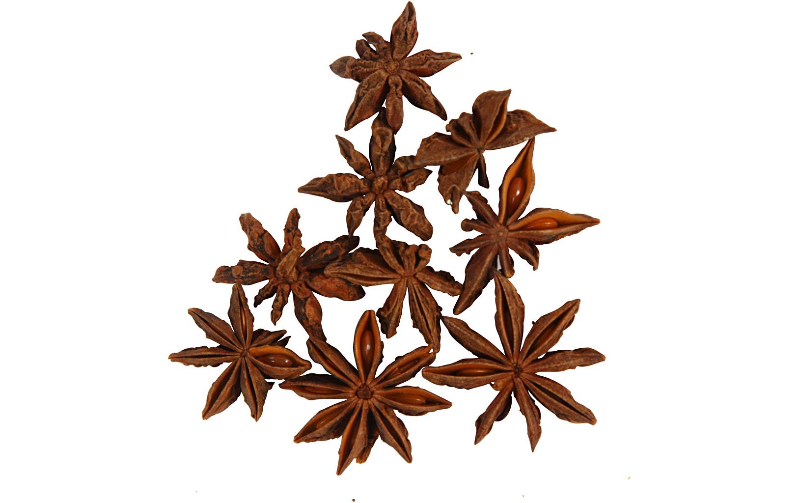 Creativ Company Anissterne 10 Stück Creativ Company Anissterne 10 Stück