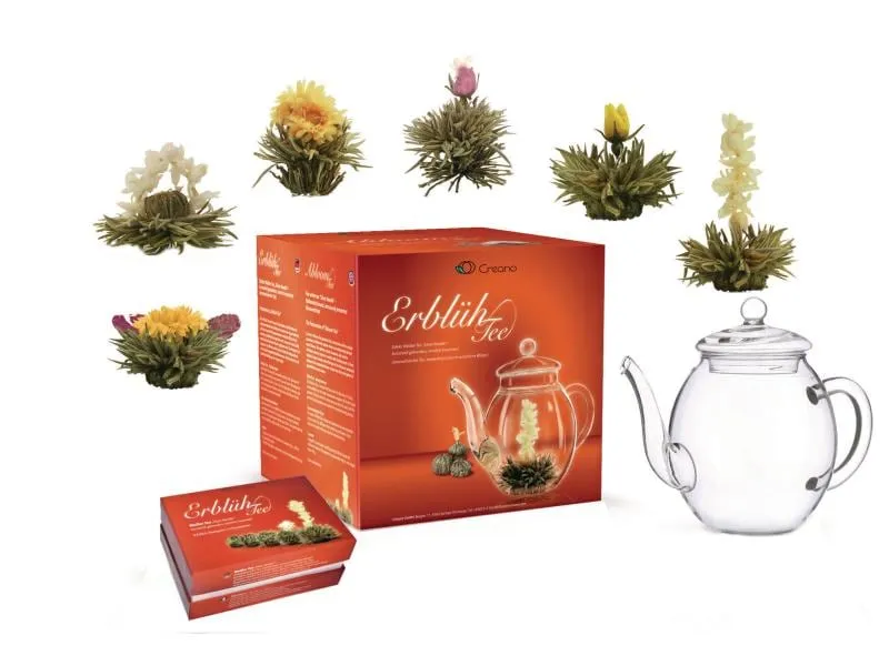 Creano Tee-Set Erblühtee 0.5 l, Transparent Creano Tee-Set Erblühtee 0.5 l, Transparent