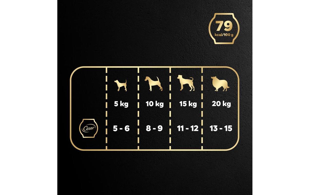 Cesar Nassfutter Fresh Bowls Huhn, Karotten 10 x 85 g