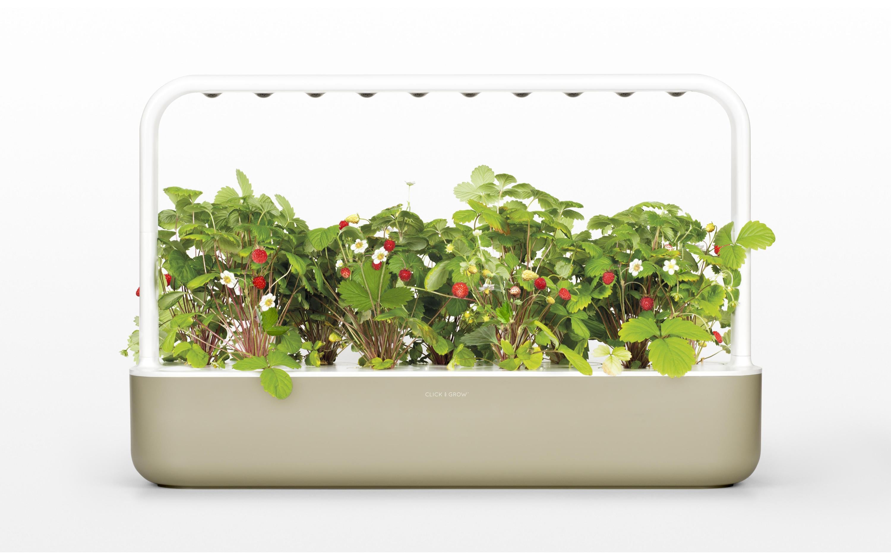 Click and Grow Kräutertopf Smart Garden 9 Beige