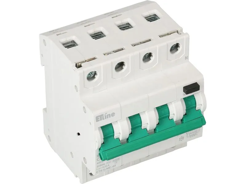 Max Hauri Build FI / LS 3P+N 13 A