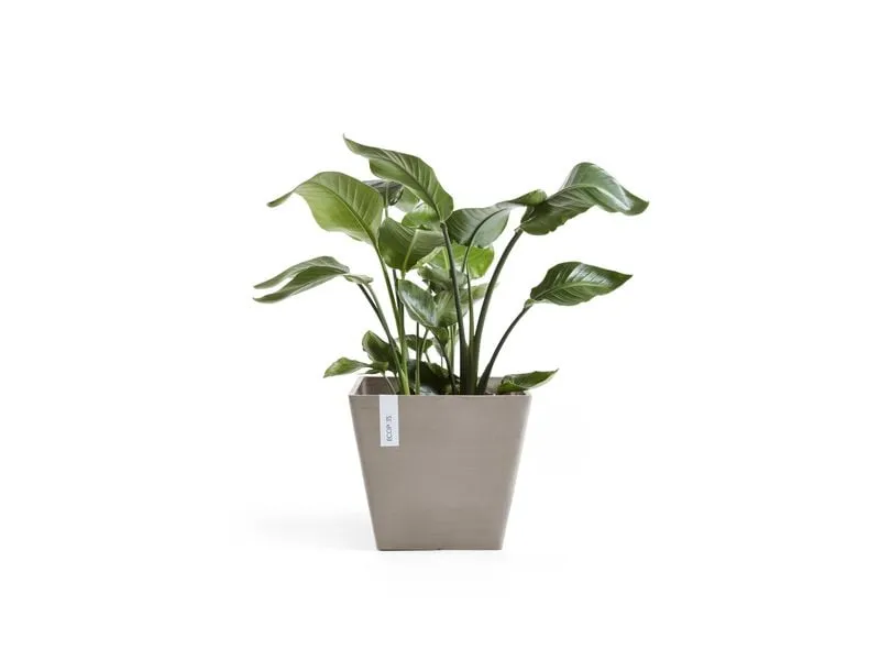 Ecopots Blumentopf Rotterdam Ø 50 cm Taupe Ecopots Blumentopf Rotterdam Ø 50 cm Taupe