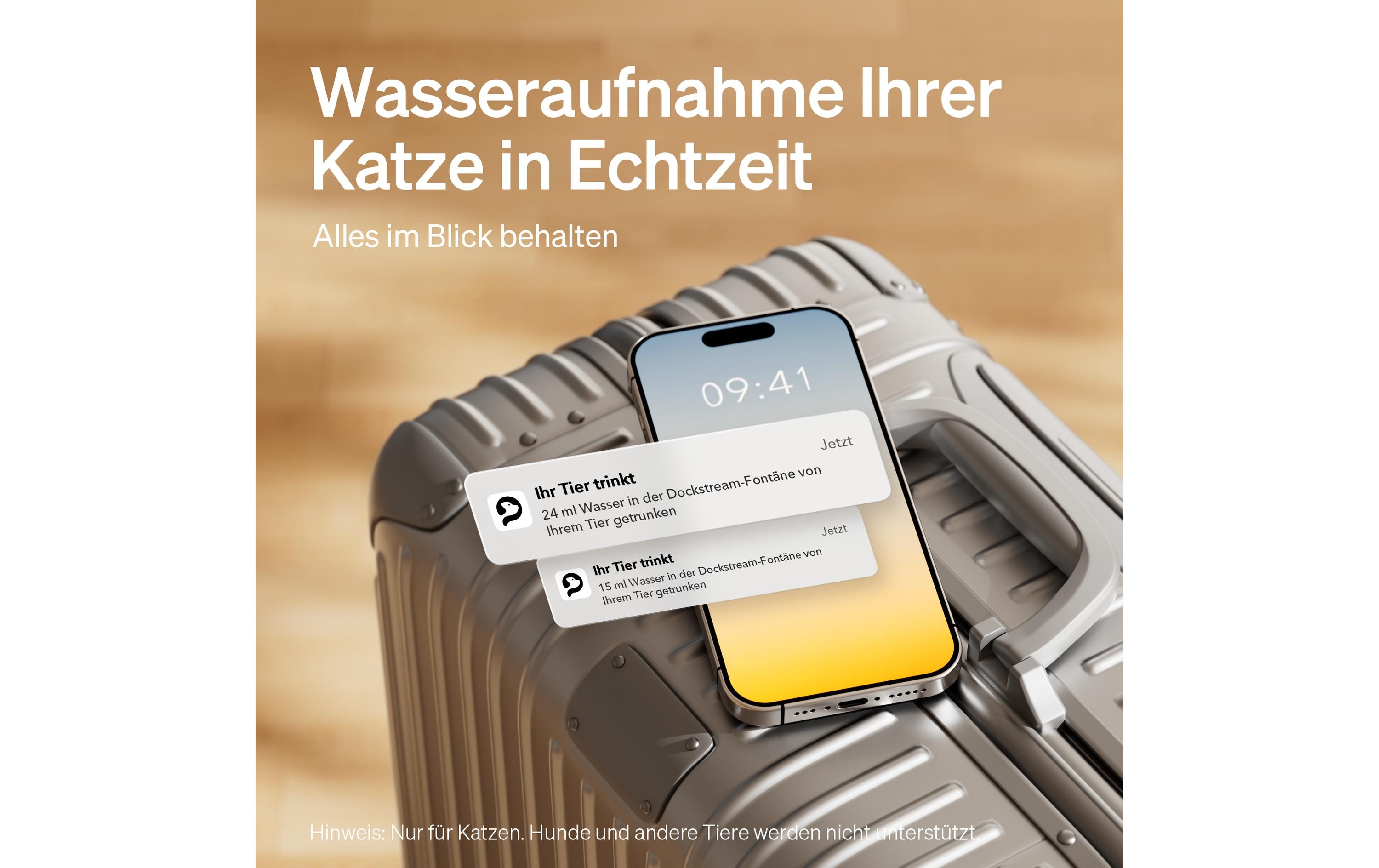 Petlibro Dockstream intelligenter Katzenbrunnen Schwarz