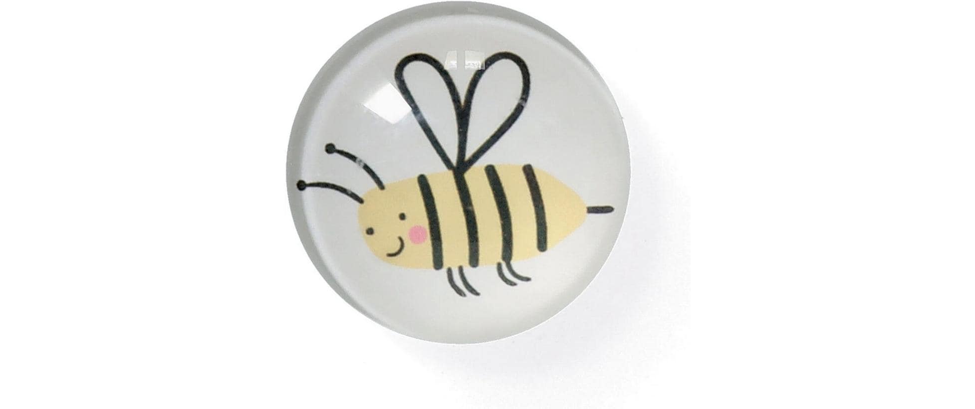 Zeller Present Magnete Insekten 4 Stück