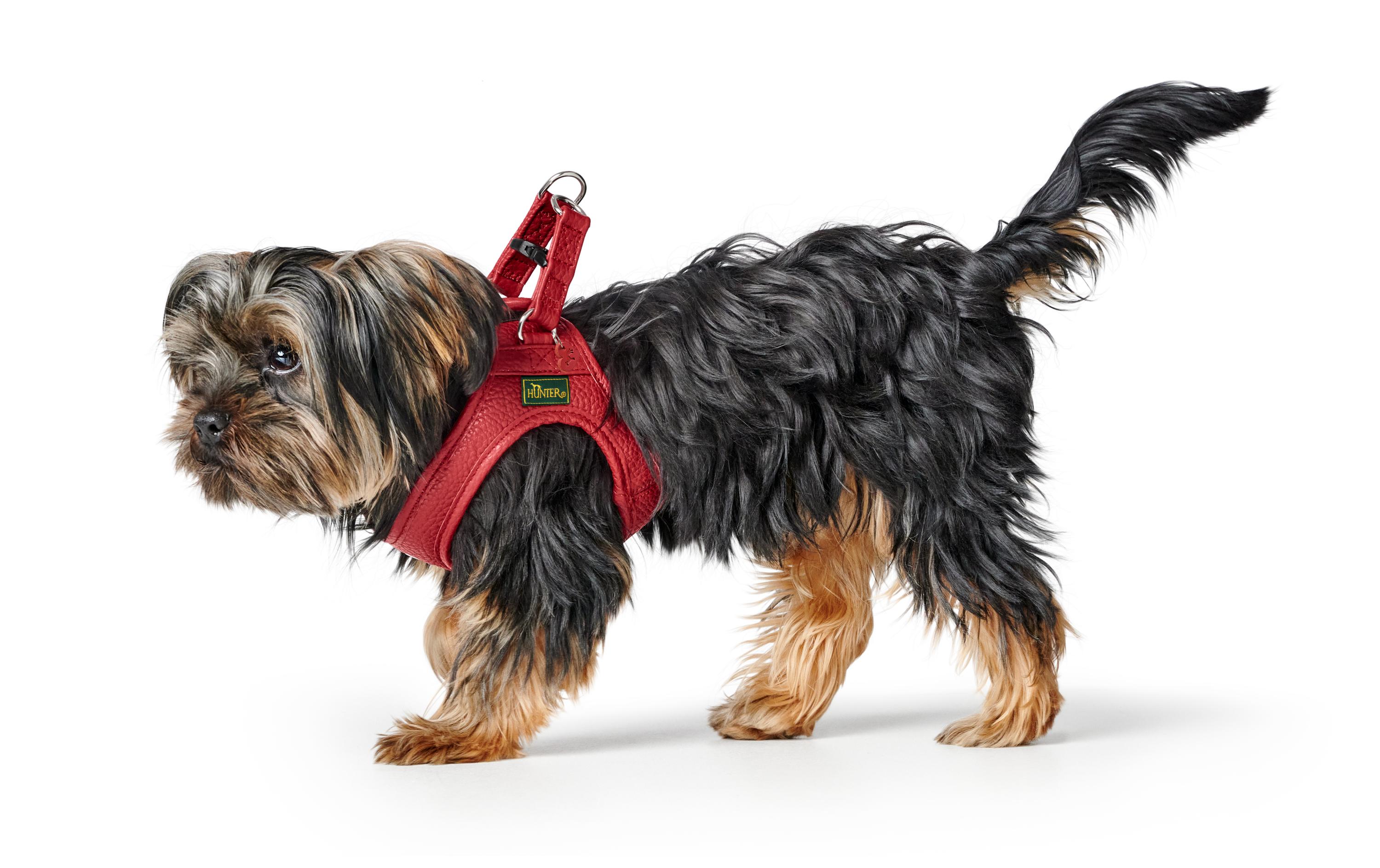 Hunter Geschirr Love 30-34/XXS-XS, Rot/Schwarz