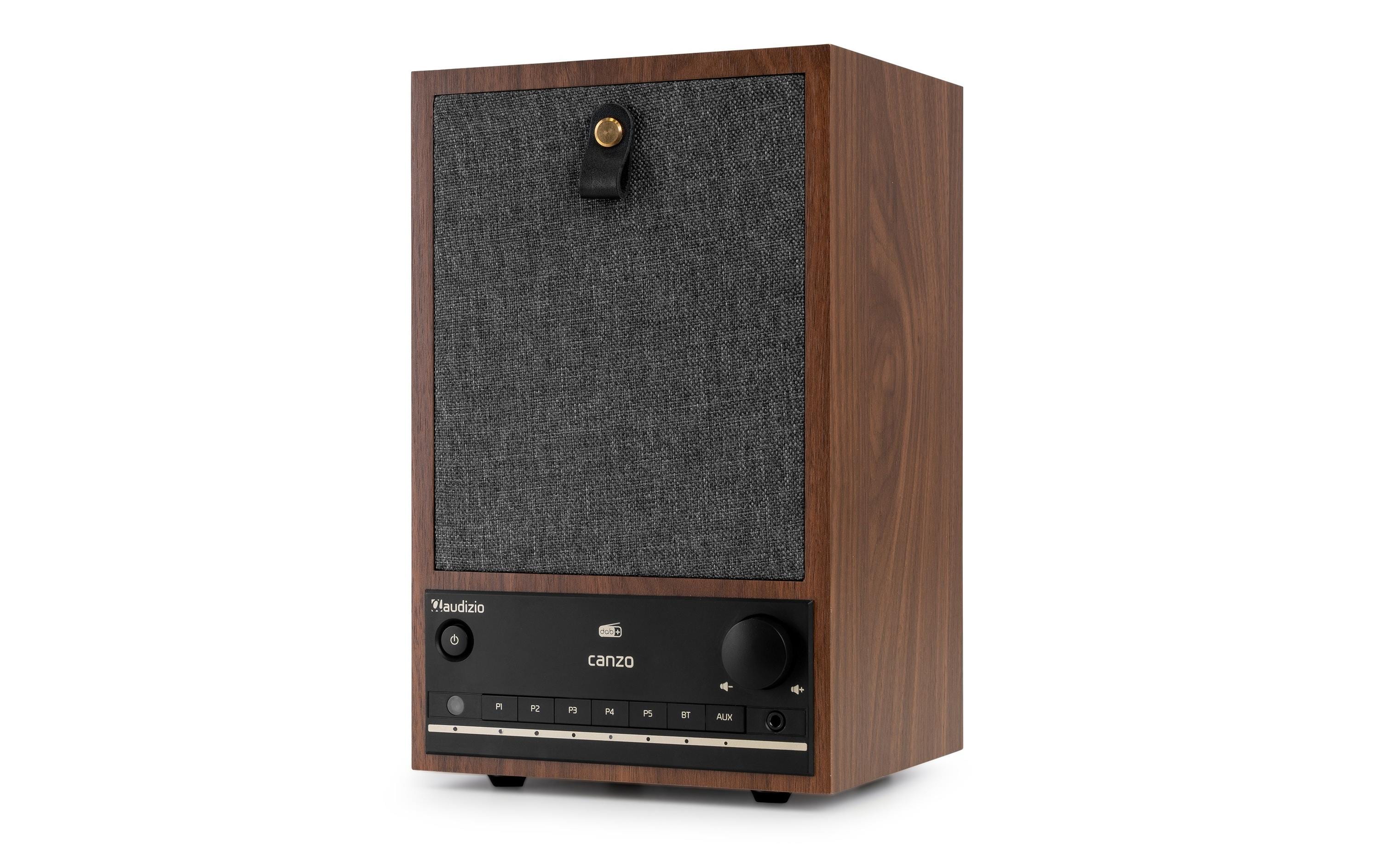 Audizio Internet Radio Canzo Dunkelbraun