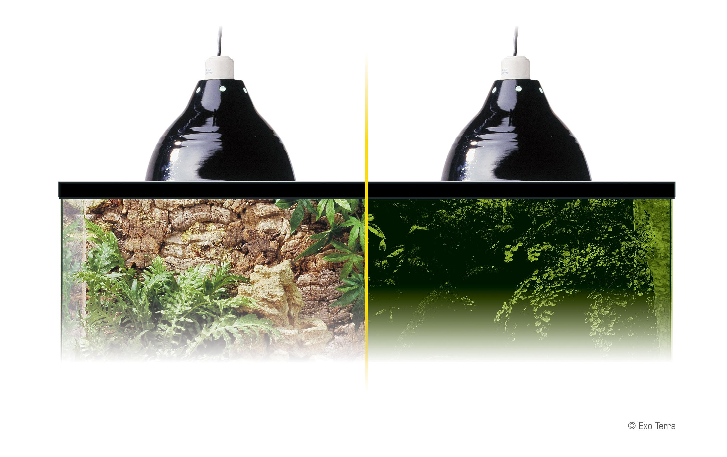 Exo Terra Klemmlampe Glow Light M, Ø 21 cm