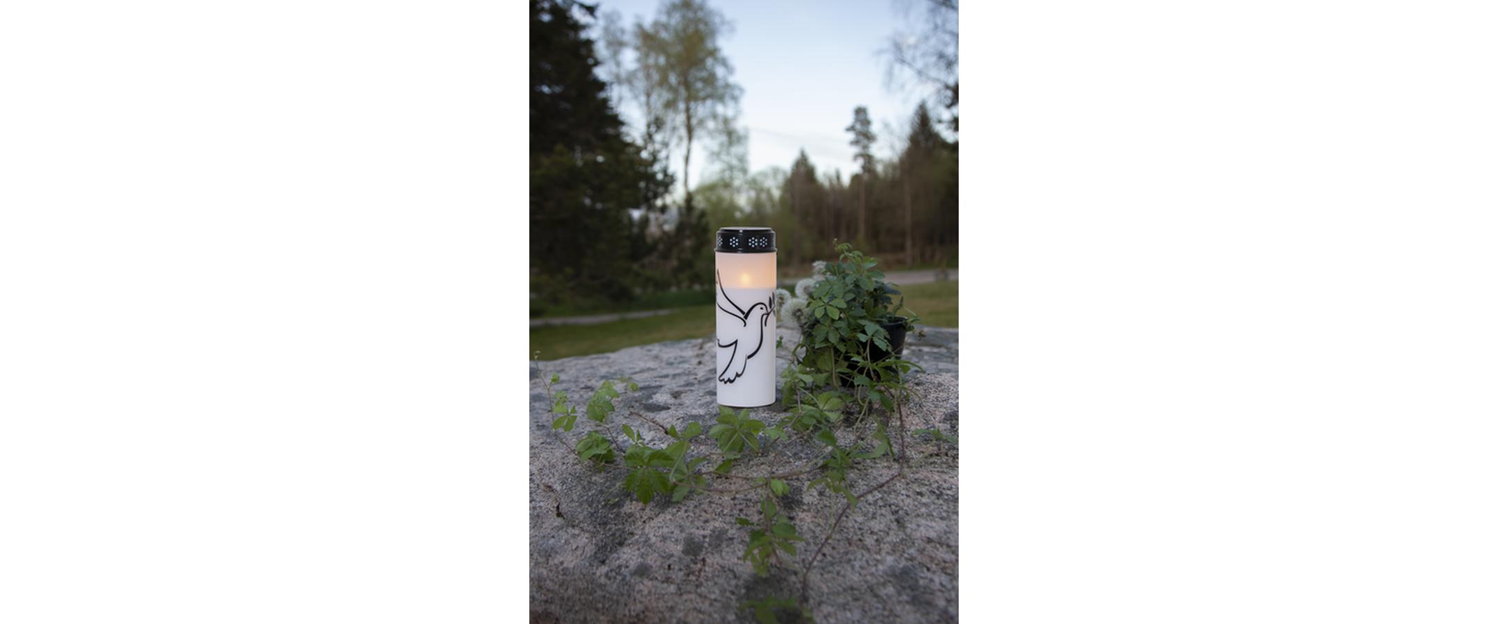 Star Trading LED Grabkerze Taube, Ø 7.5 x 20.5 cm, Weiss