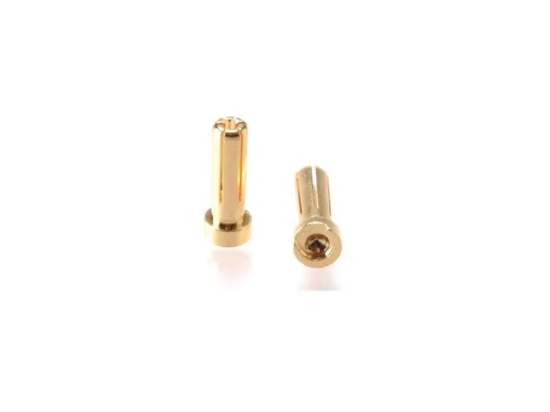 EP Goldstecker 90° 5 mm für Hardcase-Pack, 4 Stück EP Goldstecker 90° 5 mm für Hardcase-Pack, 4 Stück