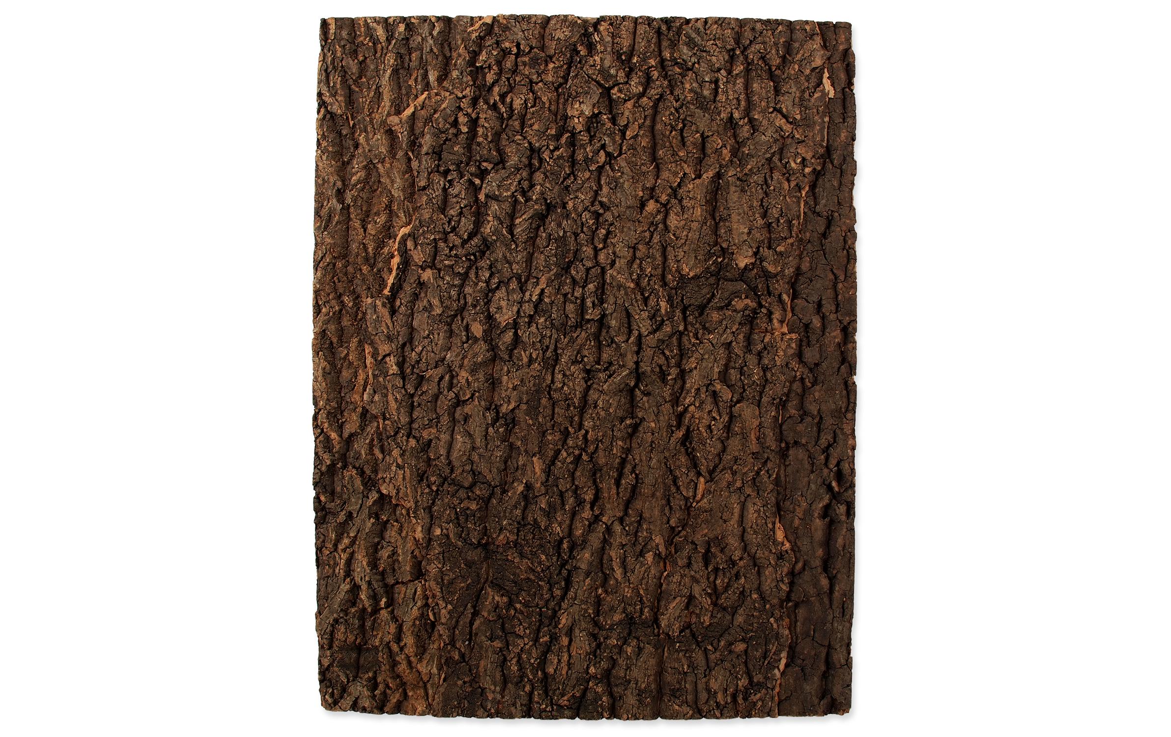 Repti Planet Kork-Rück Wand 43.5 x 56 x 2 cm
